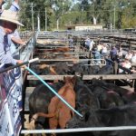 How these Brigalow mates won QCL's Bush Bachelor and Bachelorette comp