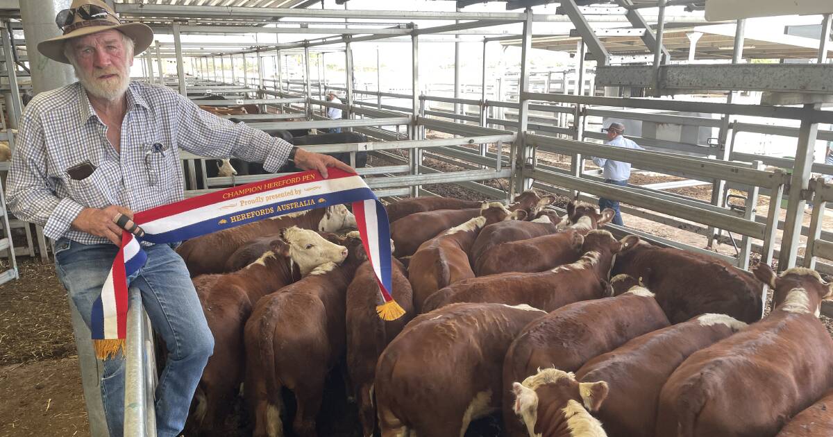 Whiteface market meets expectations at Wodonga | January 4