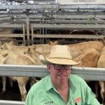 Feedlots, restockers from Vic, NSW and SA descend on first Casterton 2024 weaner sale