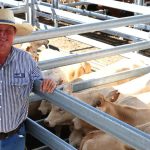 Well watered cattle country for $10,400 a breeder area | Video