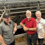 Australia's largest mosaic stops traffic in Charters Towers