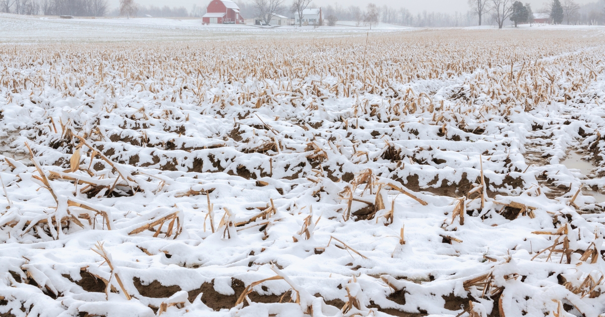 El Nino impact through the rest of winter