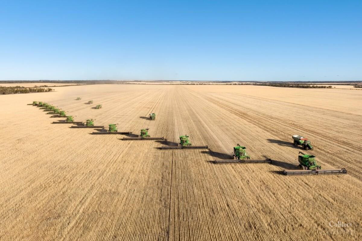 WA scale for sale as SALIC, PenAgri list Merredin Farms