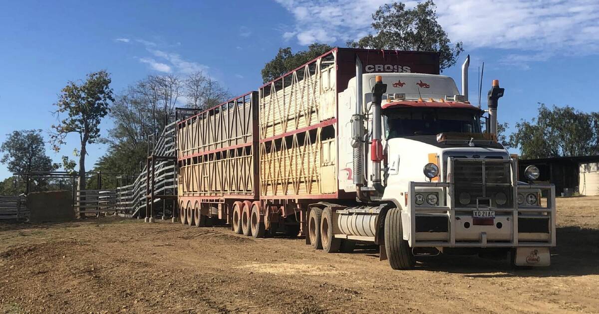 Shuttered washdown facilities costing rural businesses thousands