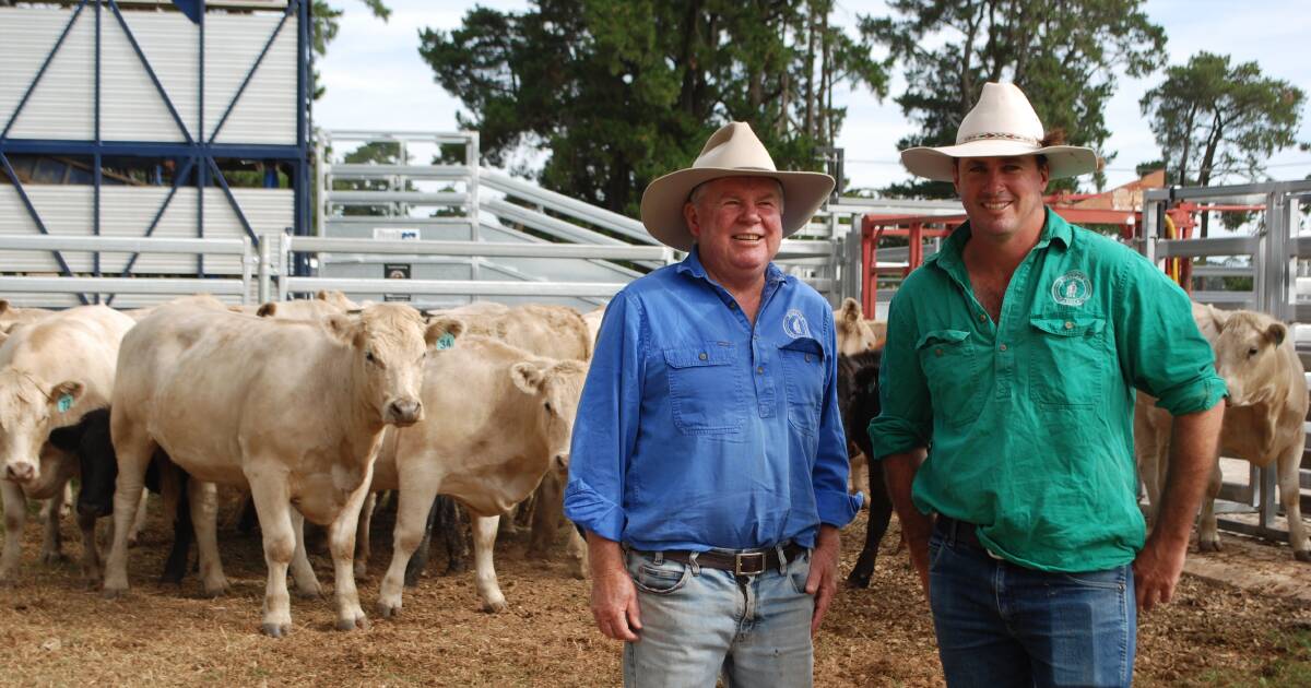 Beef Spectacular Feedback Trial 2024: Crossbred success for Millner family