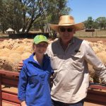 McCamley’s Palmal bull tops Big Country day two | North Queensland Register