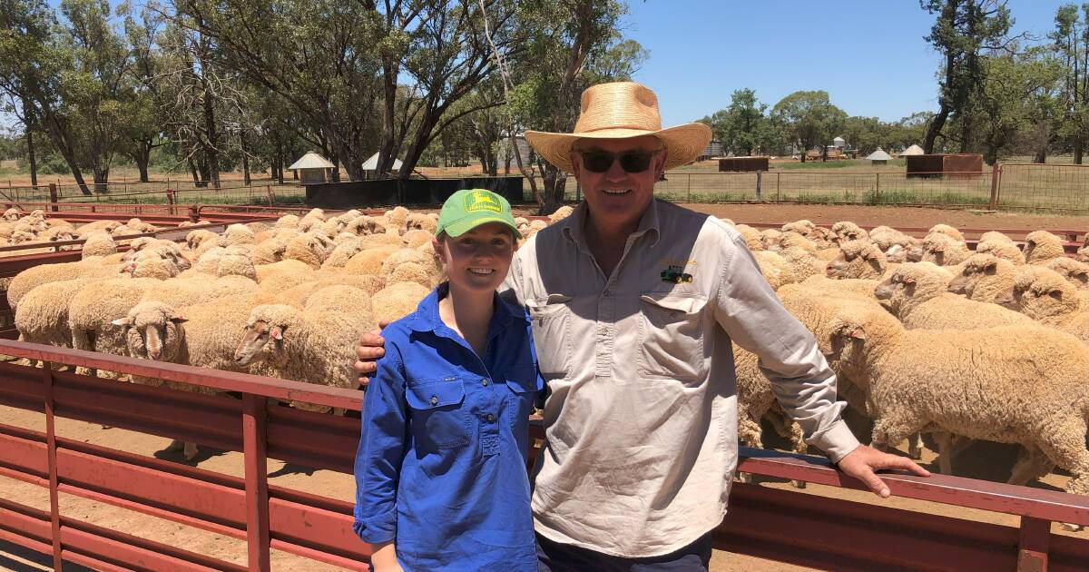 McCarten's win Lake Cargelligo Maiden Merino Ewe Competition