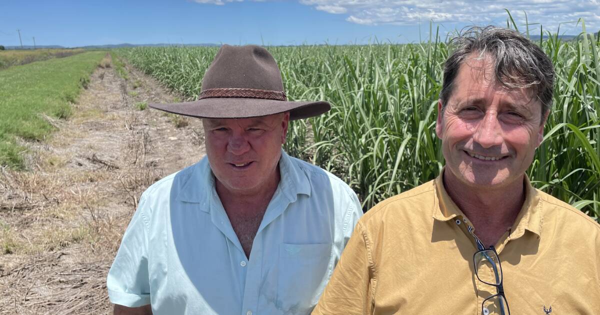 Cane drains set example for coastal floodplain management