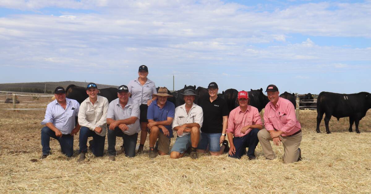 Lawsons Angus sells to a $15,750 high