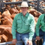 Multimillion-dollar project to improve planning capabilities for beef producers