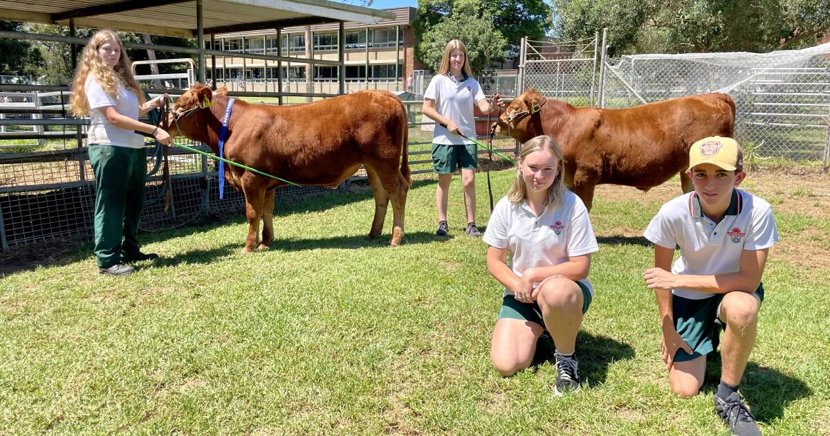 South Coast Beef School Steer Spectacular ramps up in 2024 | The Land