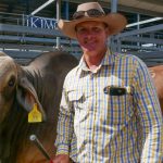 Paddock stored hay incurs rain damage after wet summer