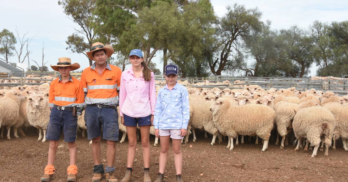 Managing one lamb, two lambs or more at scanning time