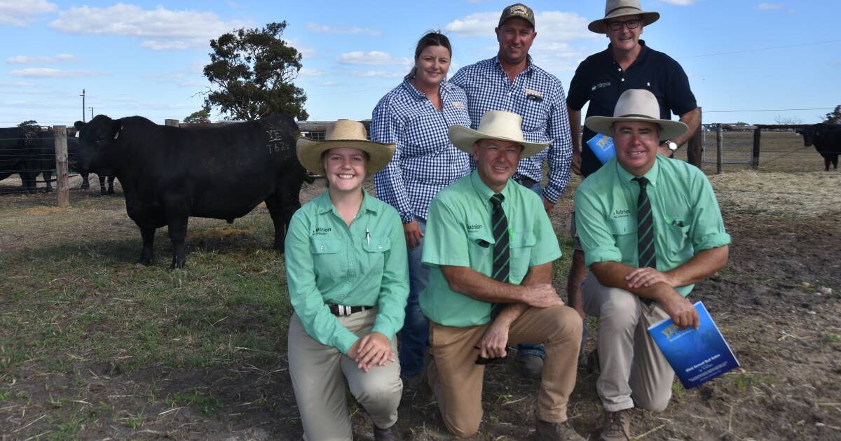 Strong demand at South Australian 2024 autumn bull sales | The Land