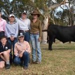 Boyanup steer weaners sell to $1313 high