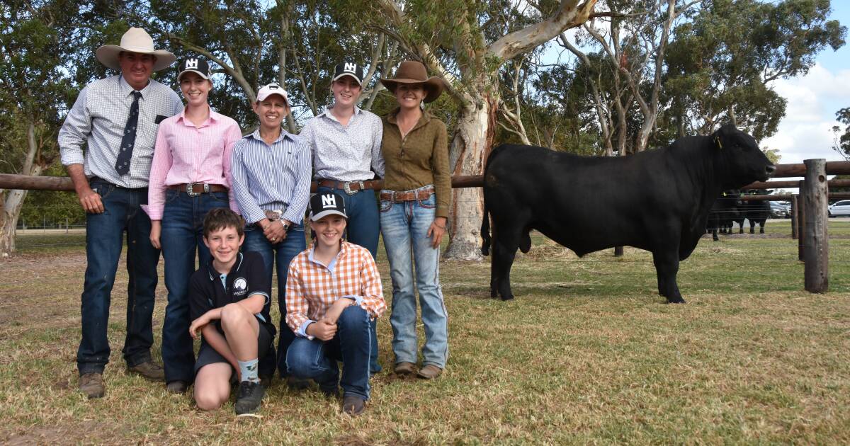 Nampara Angus' industry 'change-up' bull to NSW buyer