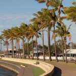 Michael Turner's decades of dedication to the Queensland sugar industry