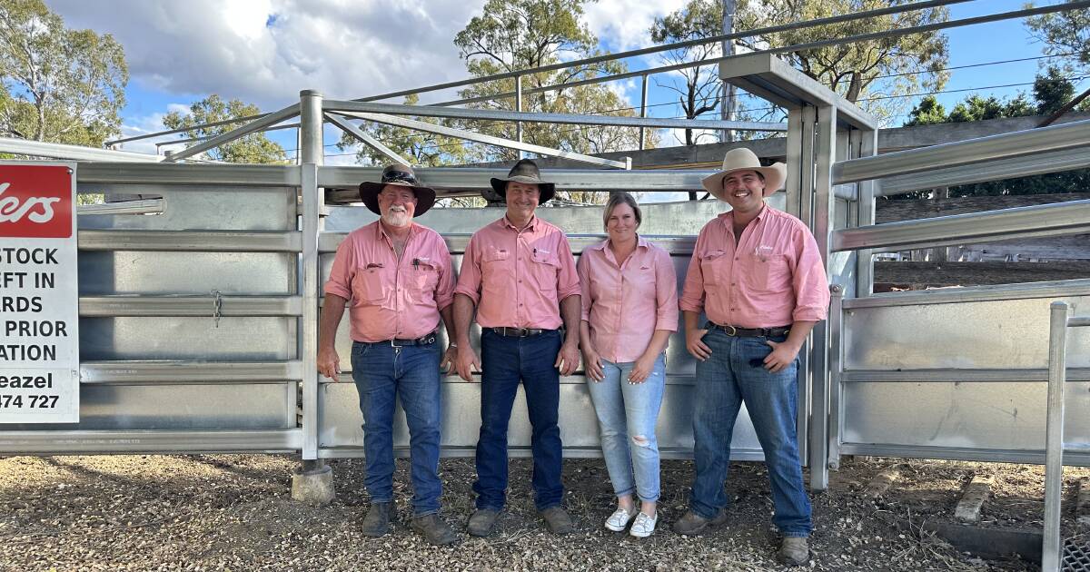 Elders' last Gin Gin sale draws big crowd; weaner steers reach $1055/hd