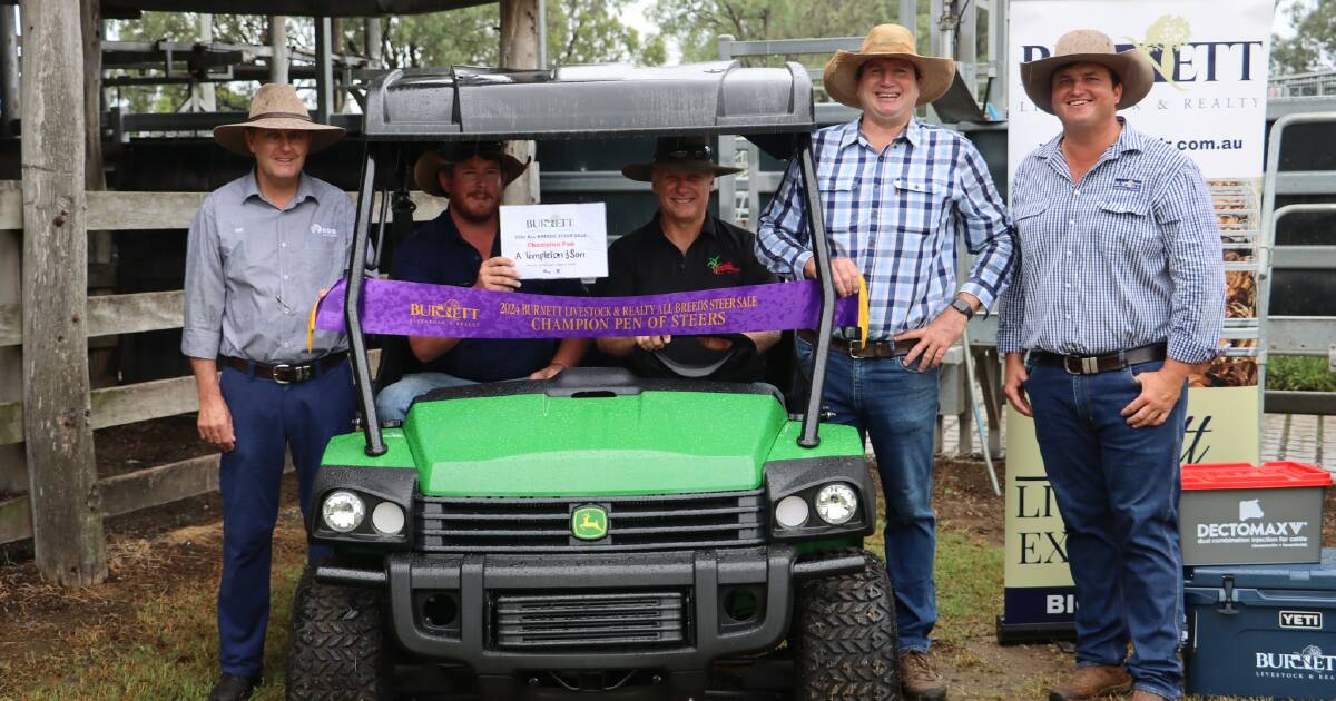 First-cross Charolais cross feeder steers sell to 432c at Biggenden