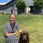 Restockers look for feeder steers at Mareeba