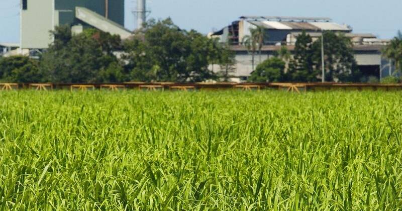 Townsville tapped to turn farm waste into jet fuel