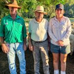 Low birth weight, high marbling bulls in demand at Brewer Beef sale