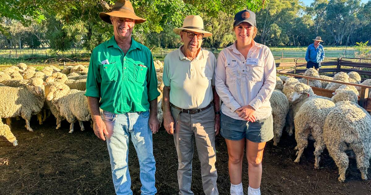 Crouch family take home top spot in Don Brown Memorial Ewe Competition