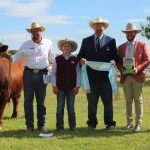 Bullocks to $1955 at Blackall