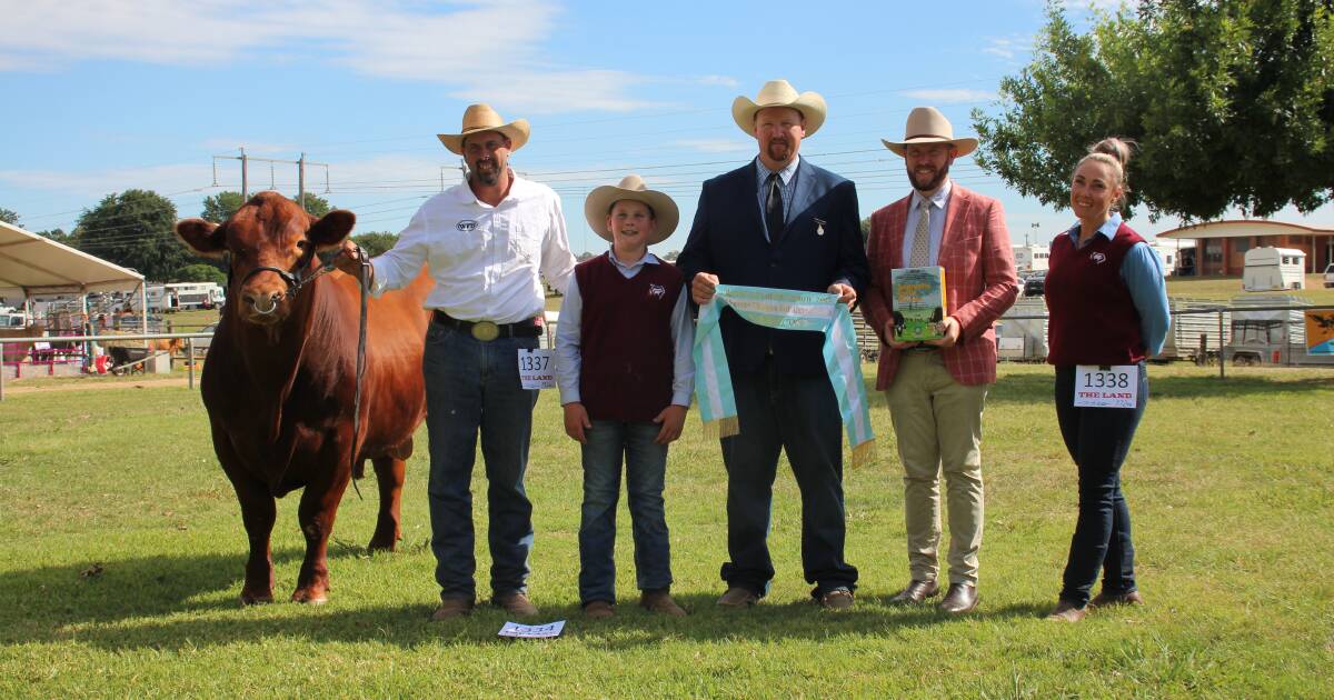 Canberra Royal 2024: White Family Beef shine in Red Angus ring