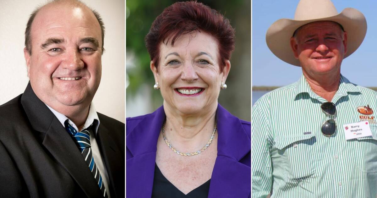 Hinchinbrook, Mareeba and Etheridge mayors step back into office