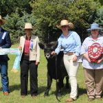 Canberra Royal 2024: Speckle Park results