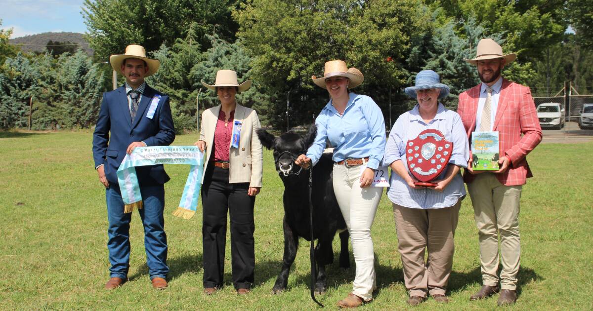 Canberra Royal 2024: Belted Galloway results