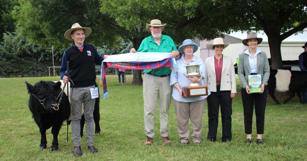 Canberra Royal 2024: Miniature Galloway and Miniature Belted Galloway results