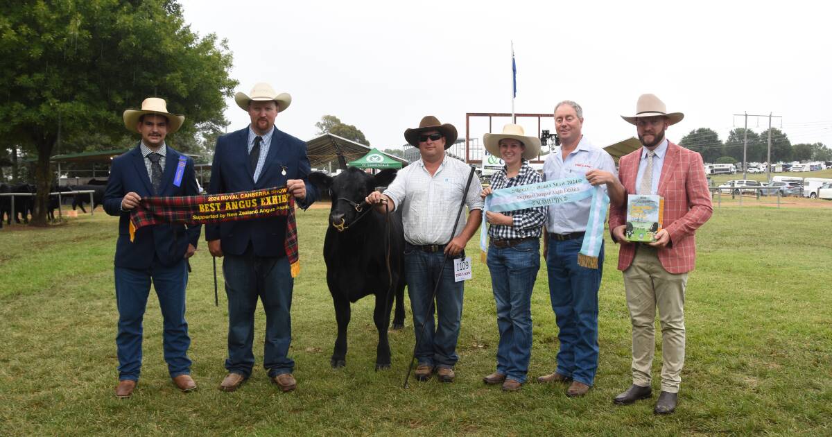 Full Angus results from the 2024 Royal Canberra Show | The Land