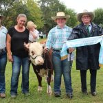 How strategic grazing kept fires at bay on three Qld National Parks