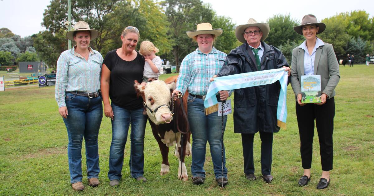 Canberra Royal 2024: Miniature Hereford results