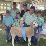 Brahmans record highest nominations at Beef 2024