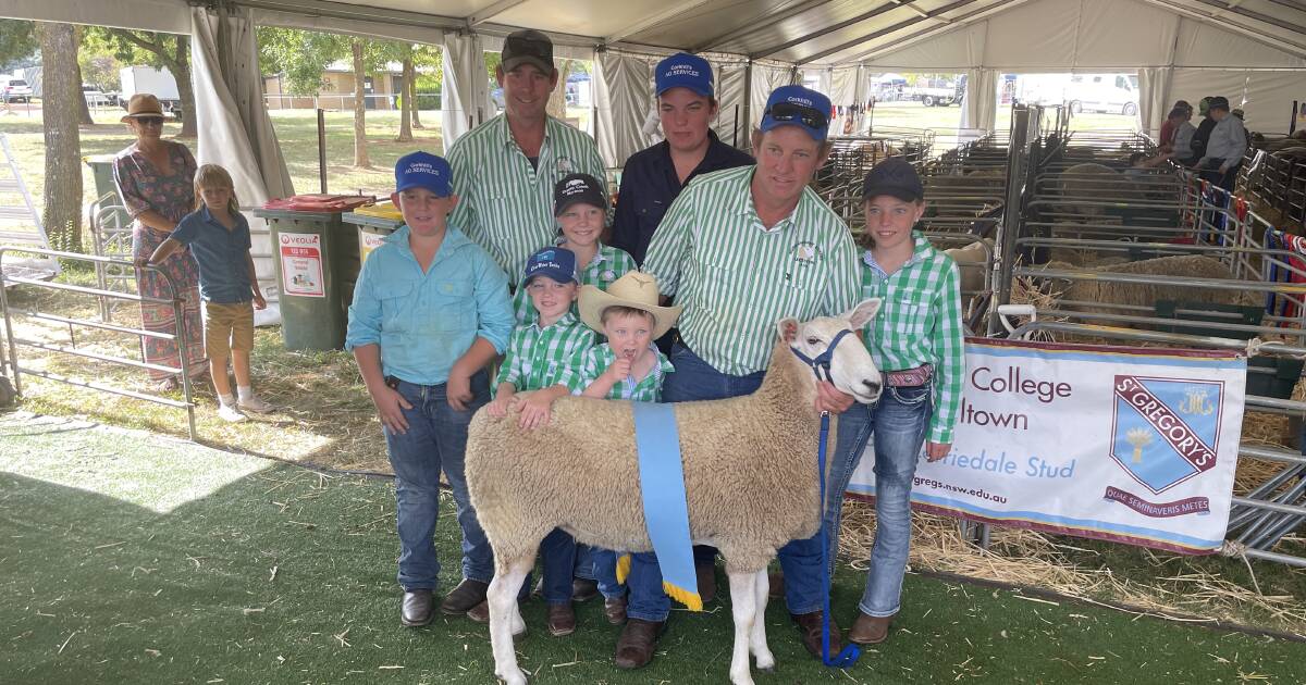 Border Leicester success in Royal Canberra sheep interbreed