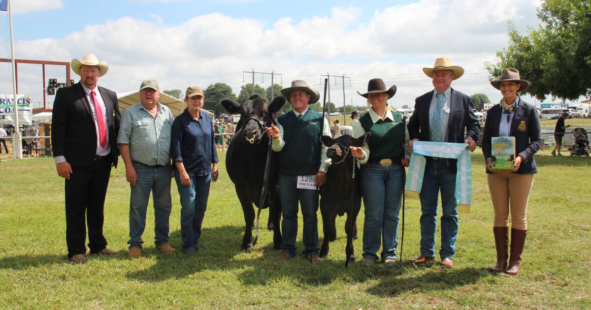 Canberra Royal 2024: Limousin results