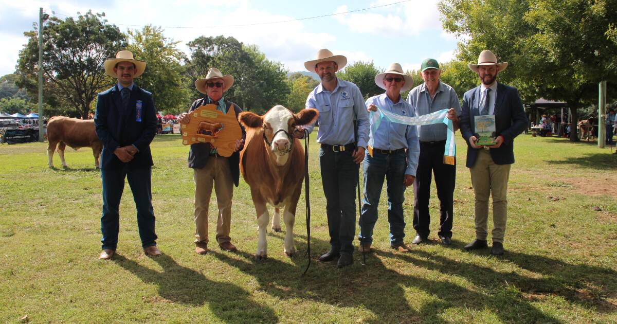 Canberra Royal 2024: Fleckvieh results