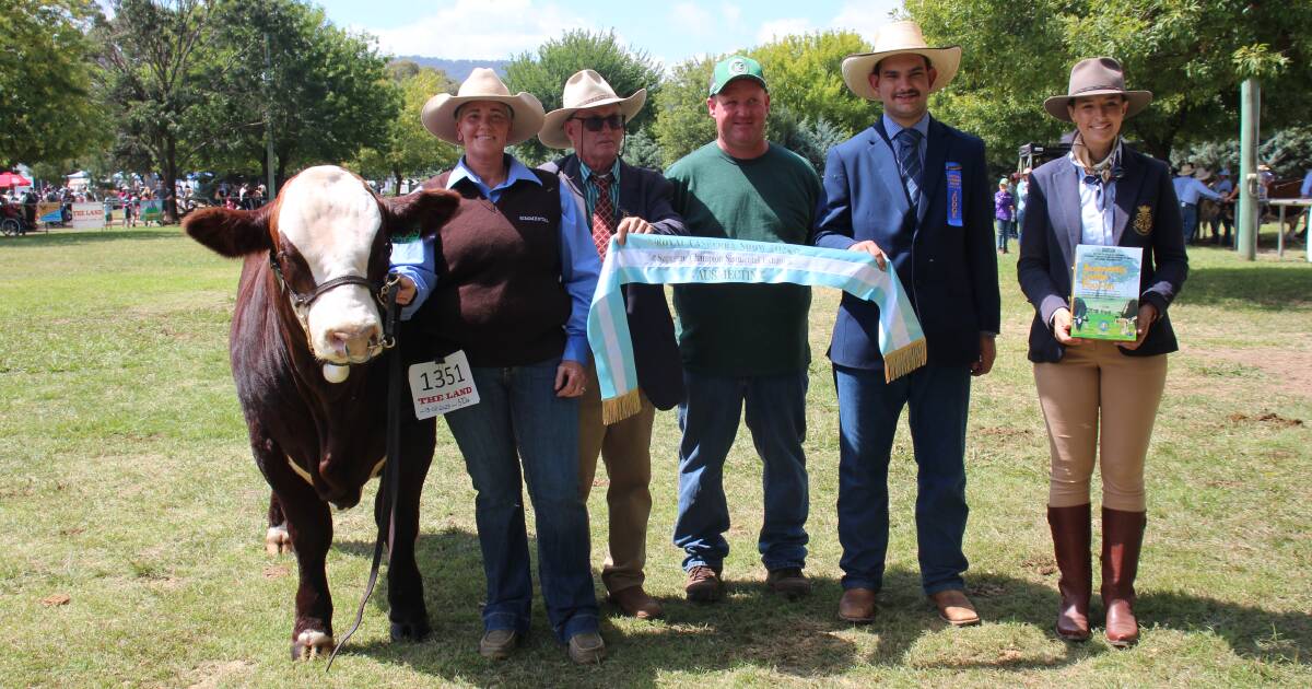 Canberra Royal 2024: Simmental results