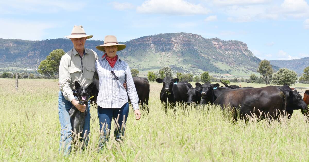 Arcadia Valley organic graziers' holistic approach to beef production