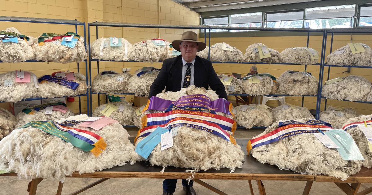 Depth of competition in the fleece section of the 2024 Royal Canberra Show