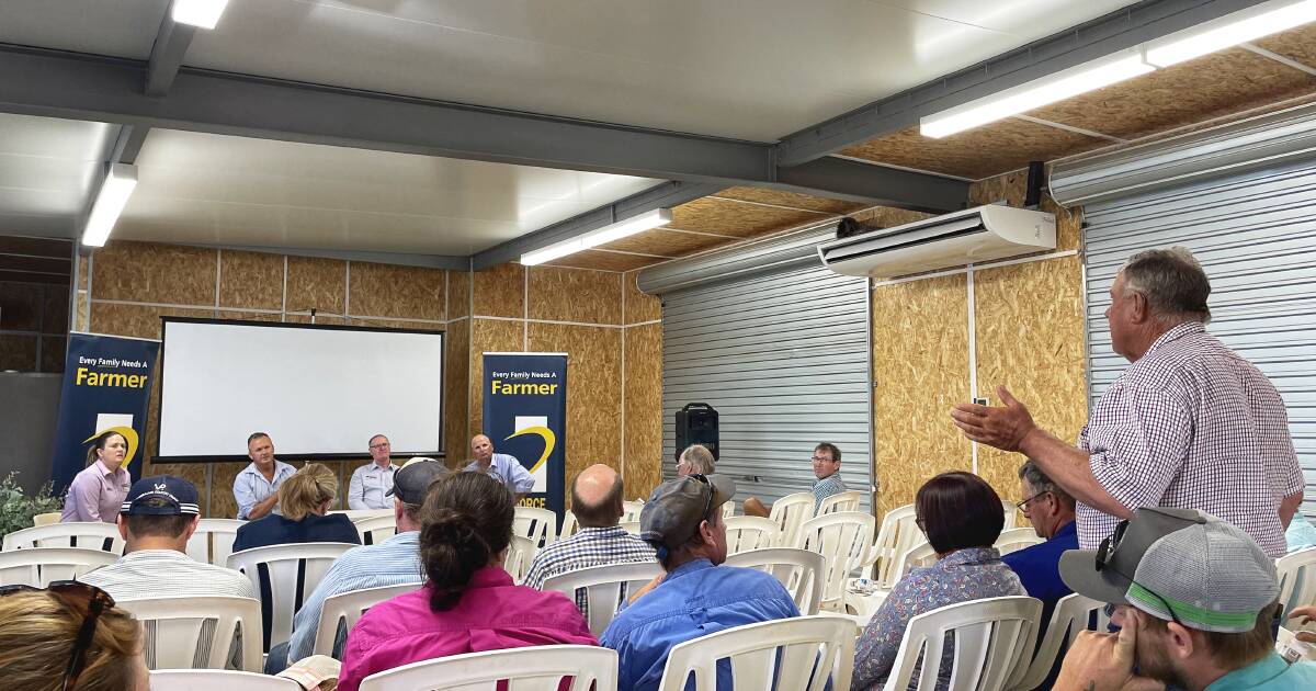 Addressing Goat Industry Challenges: Insights from AgForce’s Forum | Queensland Country Life