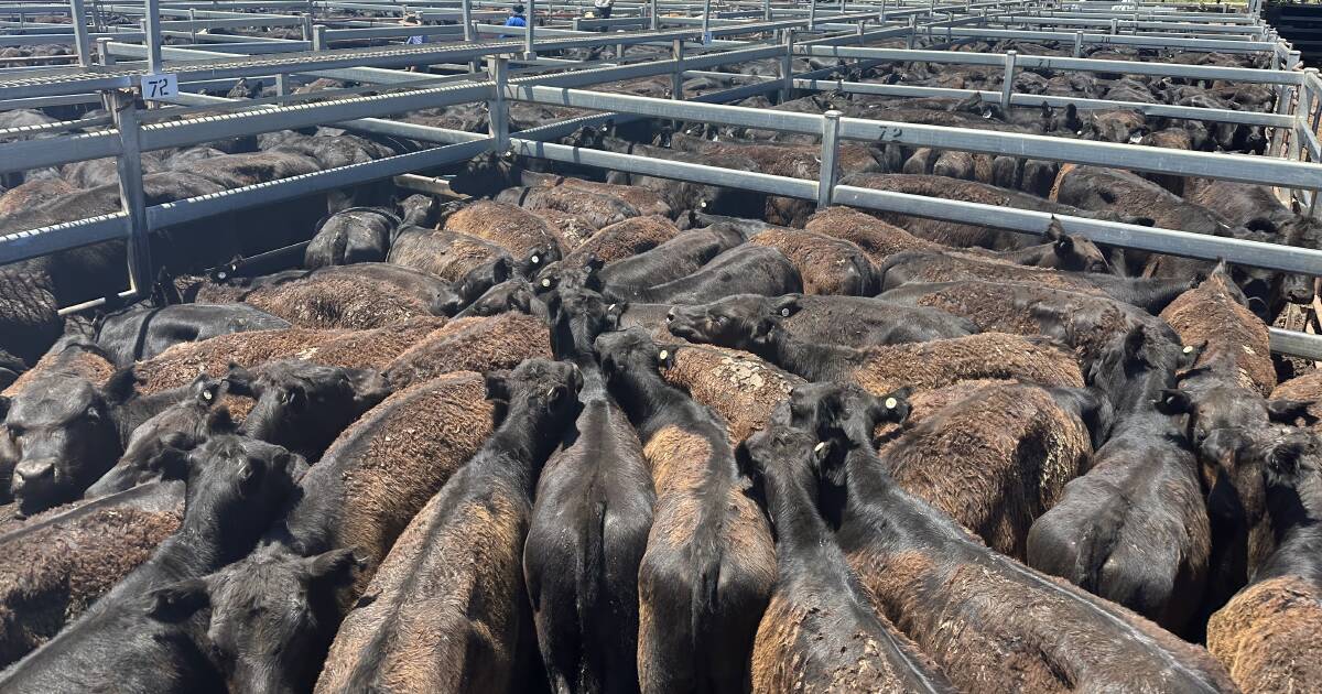 Coonamble and local buyers dominated the Dunedoo store sale