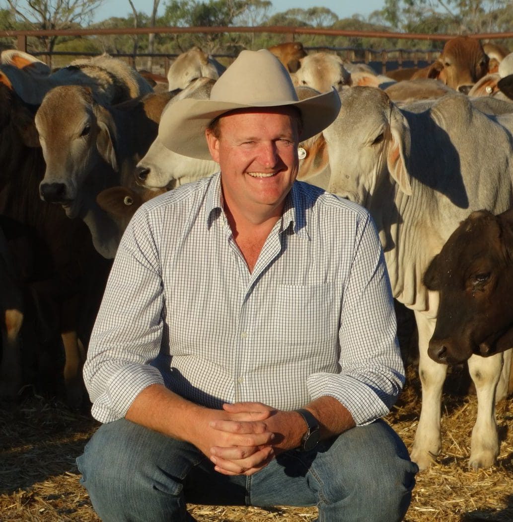 Troy Setter calls out RSPCA over live export claims