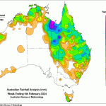 Weekly kill: Four drivers behind this week’s surge in cattle supply, as weather impact eases