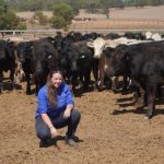 Dalby sale 28 Feb 2024: Light steers to paddock dearer