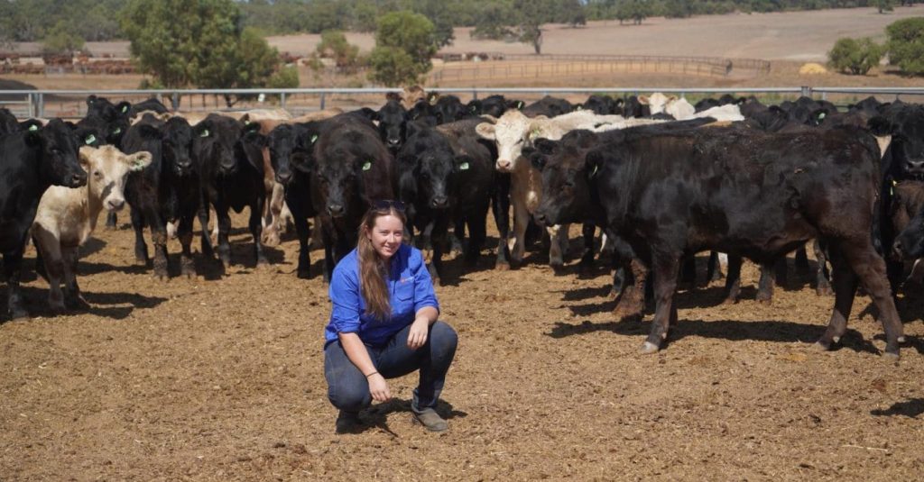 WA watching eastern states closely says young lotfeeder