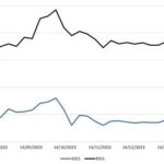 Wellard announces first-half net profit